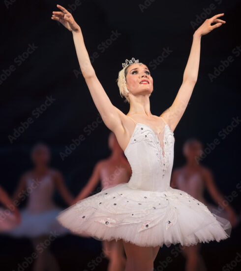 Mobfrance Ballet